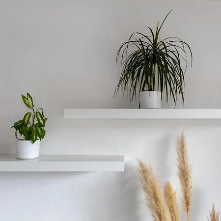 Biebrach's Appartement *