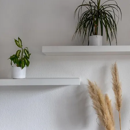 Appartement Biebrach's *