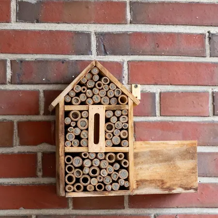 Biebrach's Apartmán